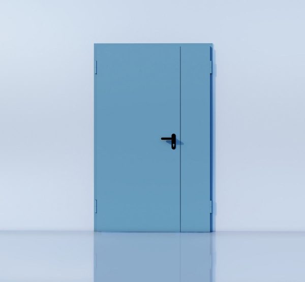 Drzwi stalowe Typ DS50 dwuskrzydłowe